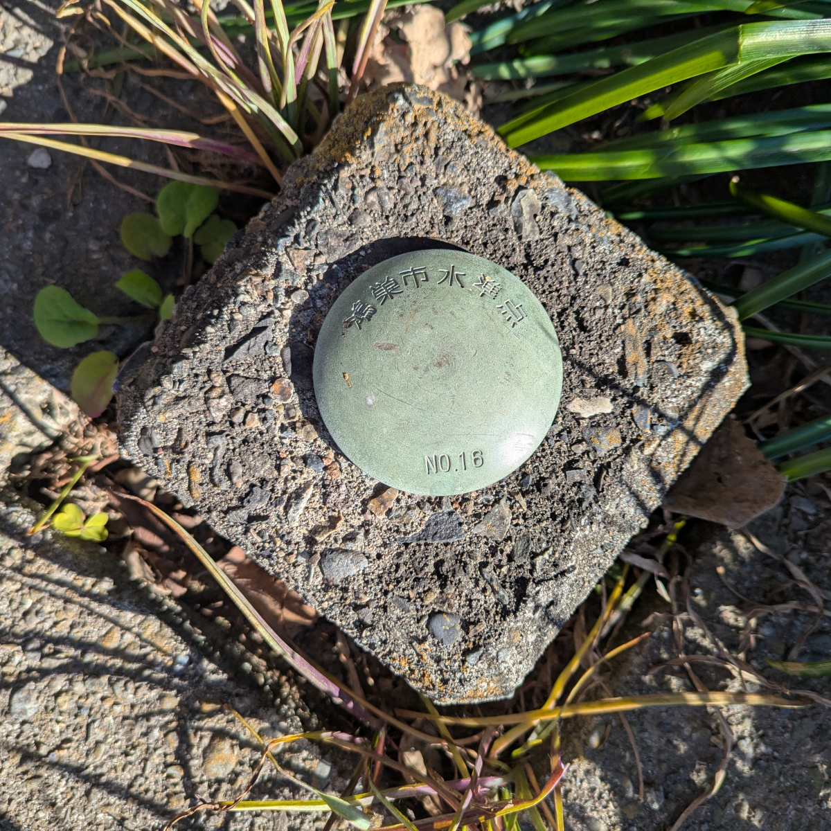 1-17523-c023-10550067ea634f8ed97|PXL_20250210_052820990.MP.jpg||1988520