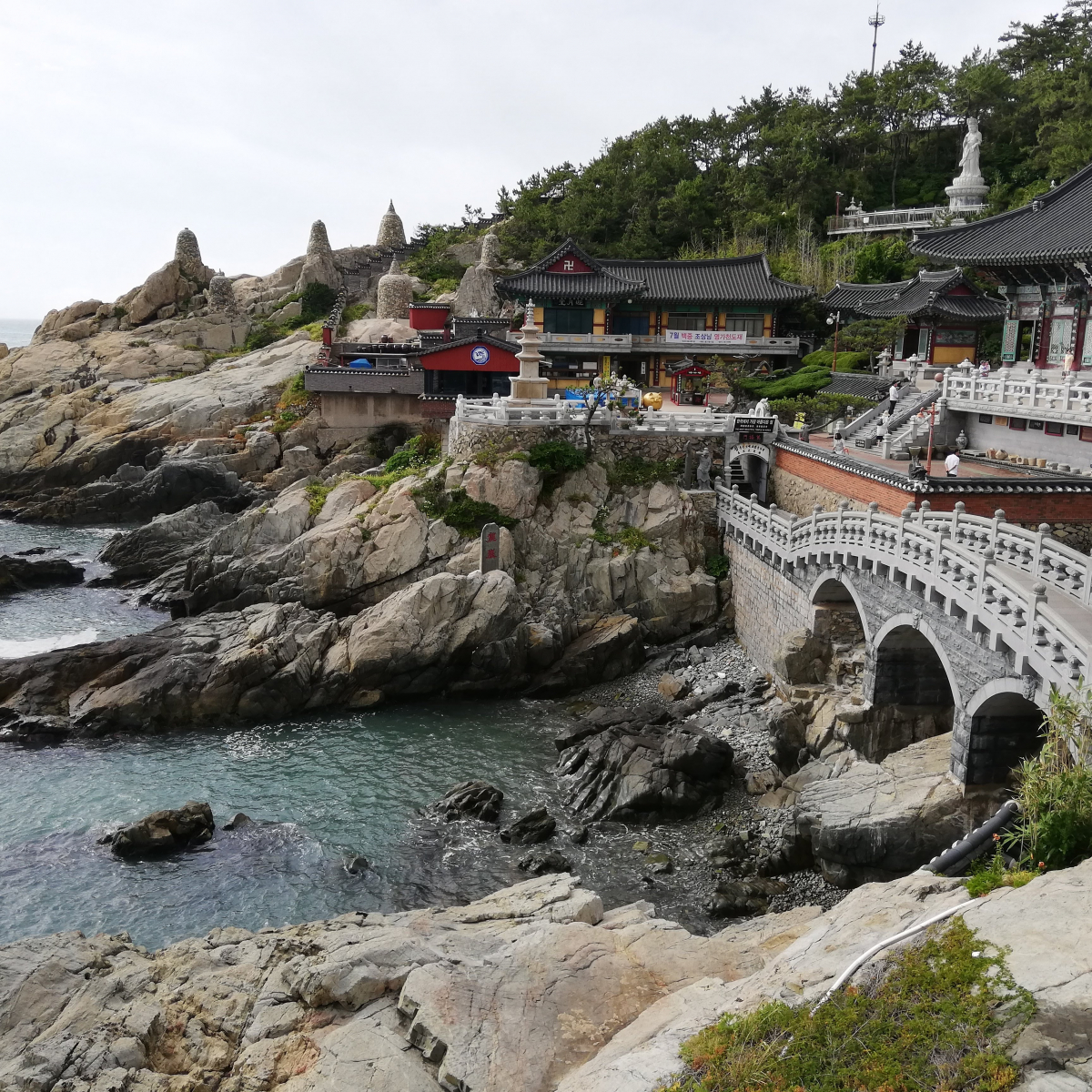 1-2978-c023-171235266d1194644870|【本町】できる韓国語.jpg||1691818